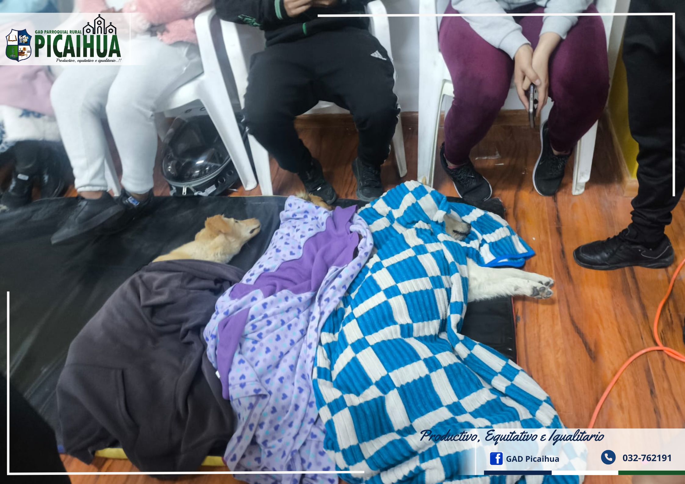 CAMPAÑA DE ESTERILIZACIÓN CANINA Y FELINA EN PICAIHUA: UN ÉXITO EN AUTOGESTIÓN Y SOLIDARIDAD
